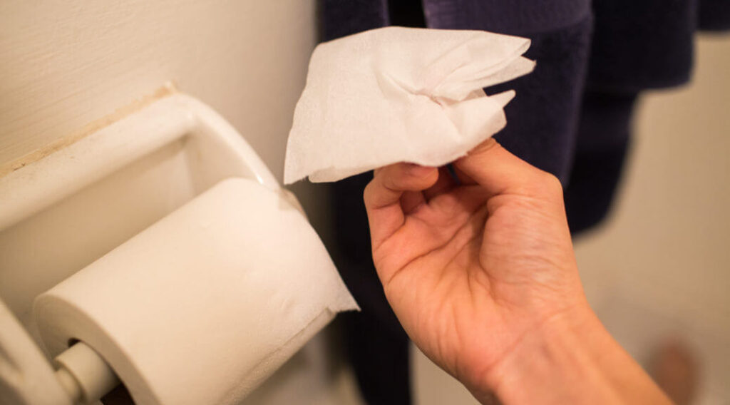 Can You Flush Toilet Paper? Is It Safe?